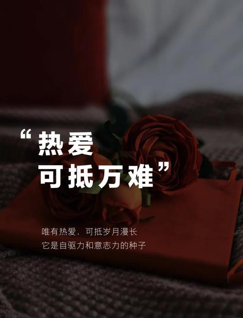 先划边界,再谈热爱