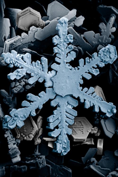 雪花:一场持续千年的迷恋与科学谜题-因为所以