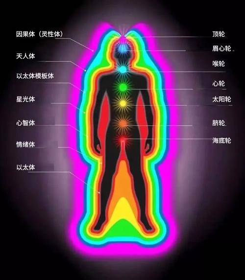 我们的身体里，藏着星光残骸