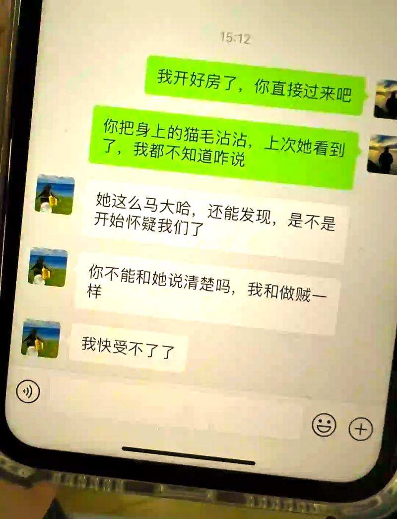 探视权纠纷聊天记录证据截图