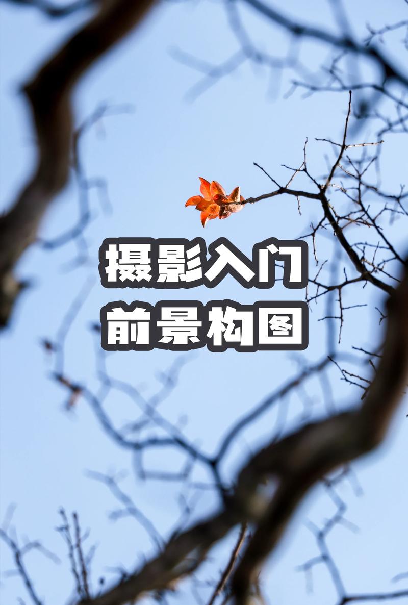🎬 前景与纵深——让画面呼吸起来
