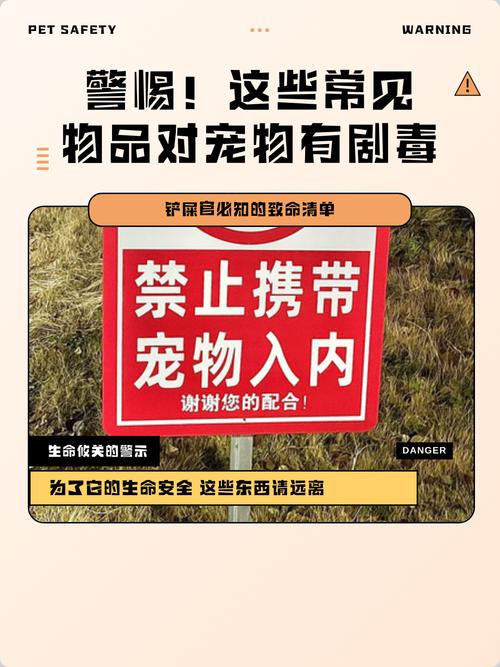 家庭常见对宠物有毒的日常物品实景图