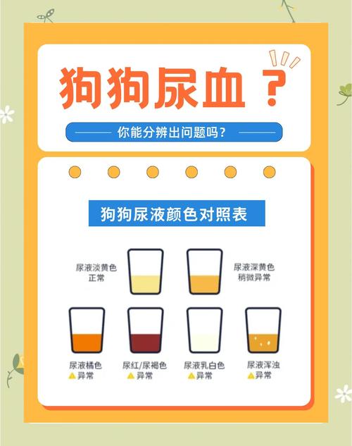 宠物外出血类型区分示意图