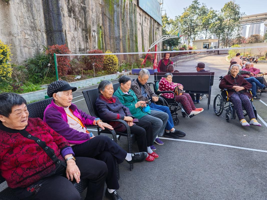 公园老人交流传统养生话题照片