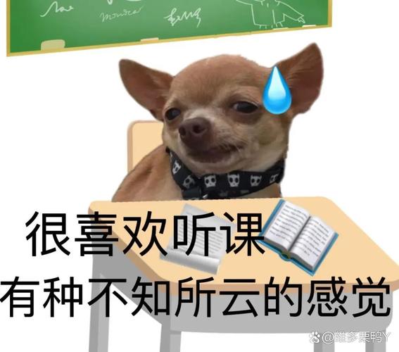群文阅读课堂学生困惑表情