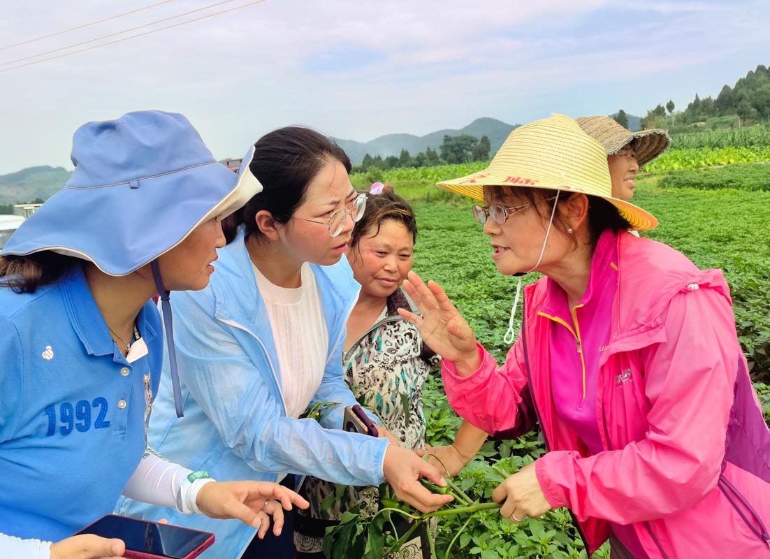 深耕劳动领域的实战派团队，值得了解