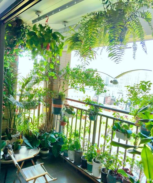 阳台栏杆垂吊绿植装修实景图