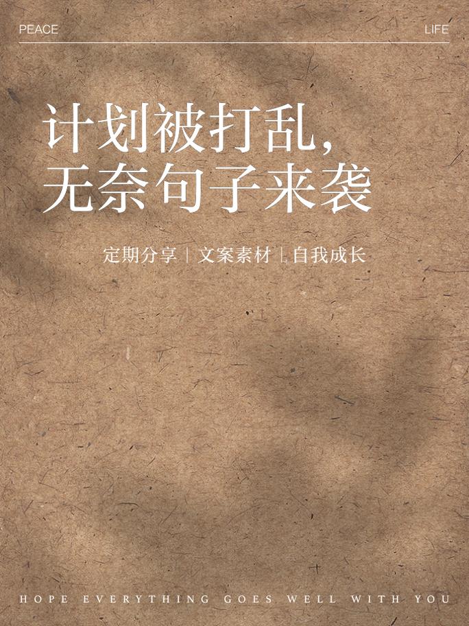 留好退路,允许计划全打乱