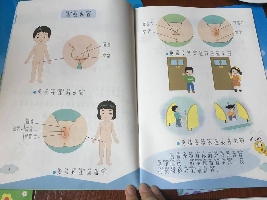 儿童性教育启蒙身体边界认知挂图