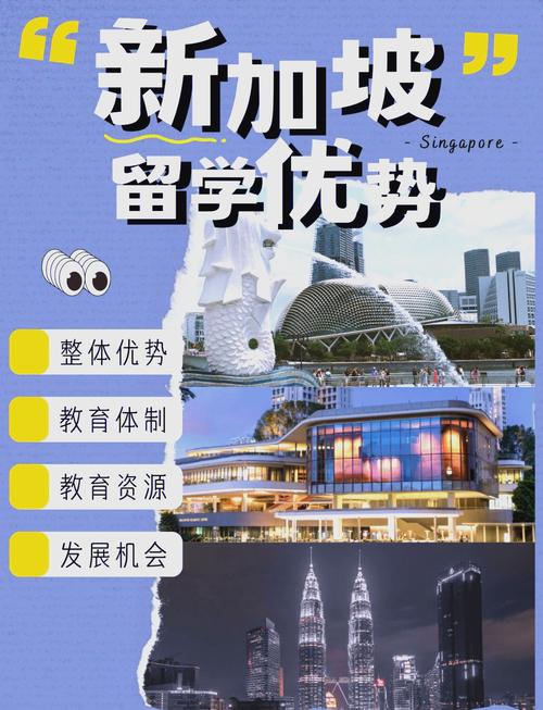 留学背景提升项目宣传海报与真实体验对比