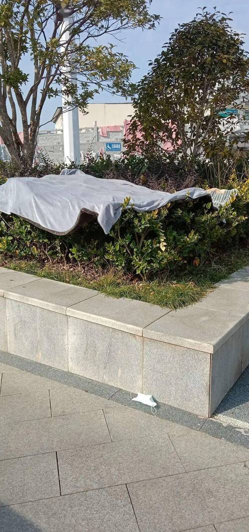 春季清晨户外柳树下晾晒厚被子
