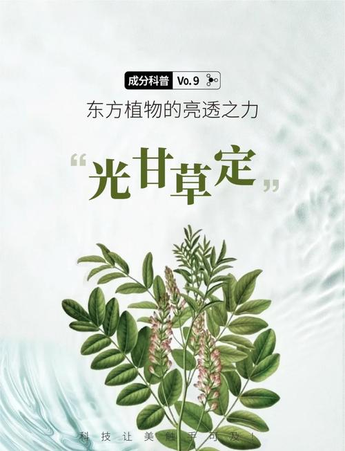 光与绿植,最便宜的“快乐药”