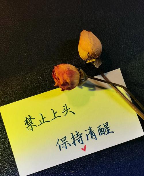 真要碰,记住这几点别上头