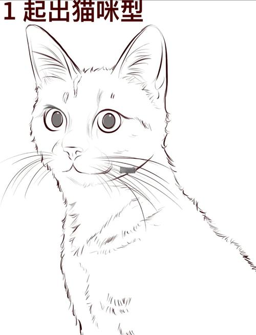 手机儿童画图软件铅笔工具画的猫咪草稿