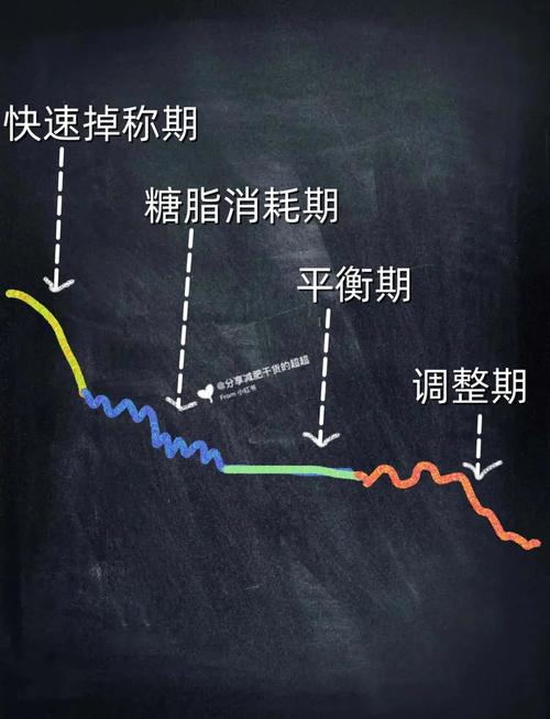 节食减重后体重反弹变化曲线图
