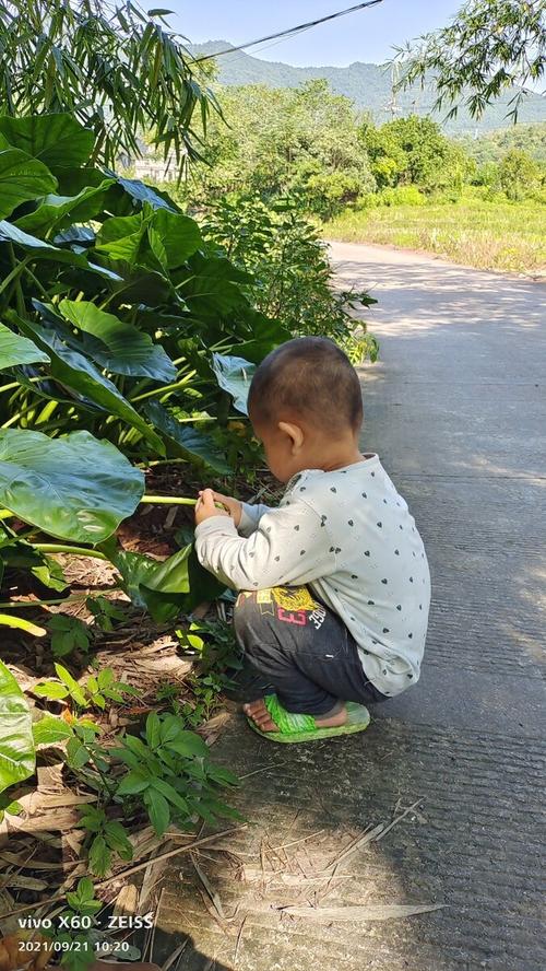 娃蹲在路边看十分钟树叶，不是偷懒是在发育