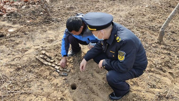 文保执法人员清理被盗挖古砖现场照片