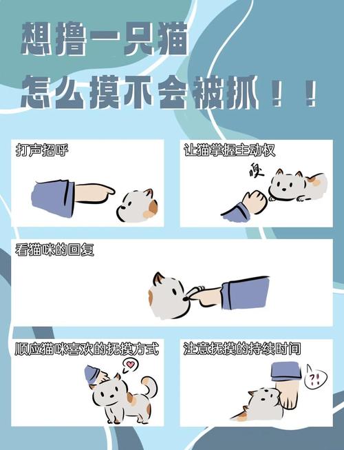 儿童正确抚摸宠物猫姿势示范图