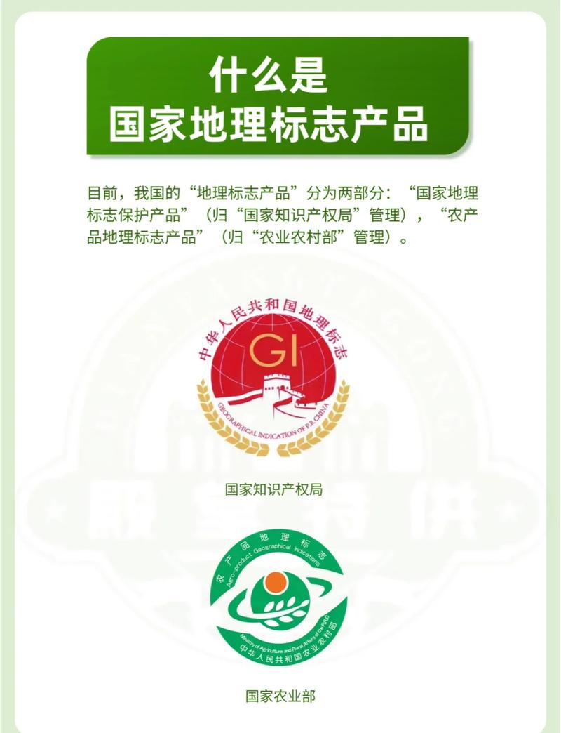 地理标志保护侵权维权证据留存指引图