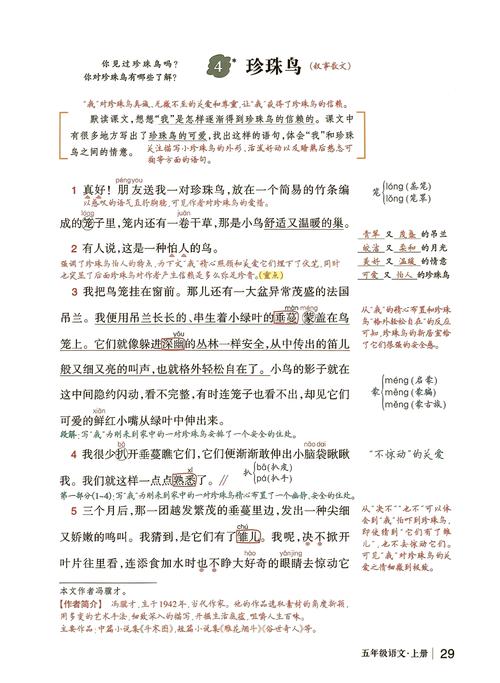 把《珍珠鸟》信赖的道理，落到日常的小事里