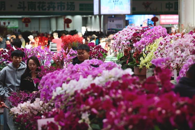 7. 斗南花市:夜间批发市场的“消费仪式”