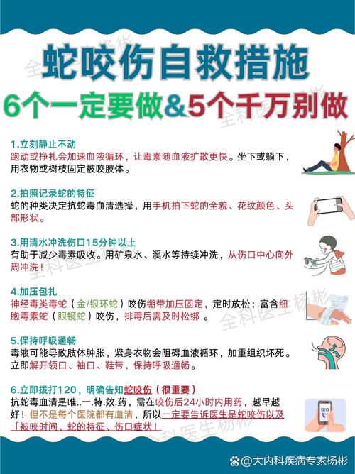 被咬之后的常识提醒