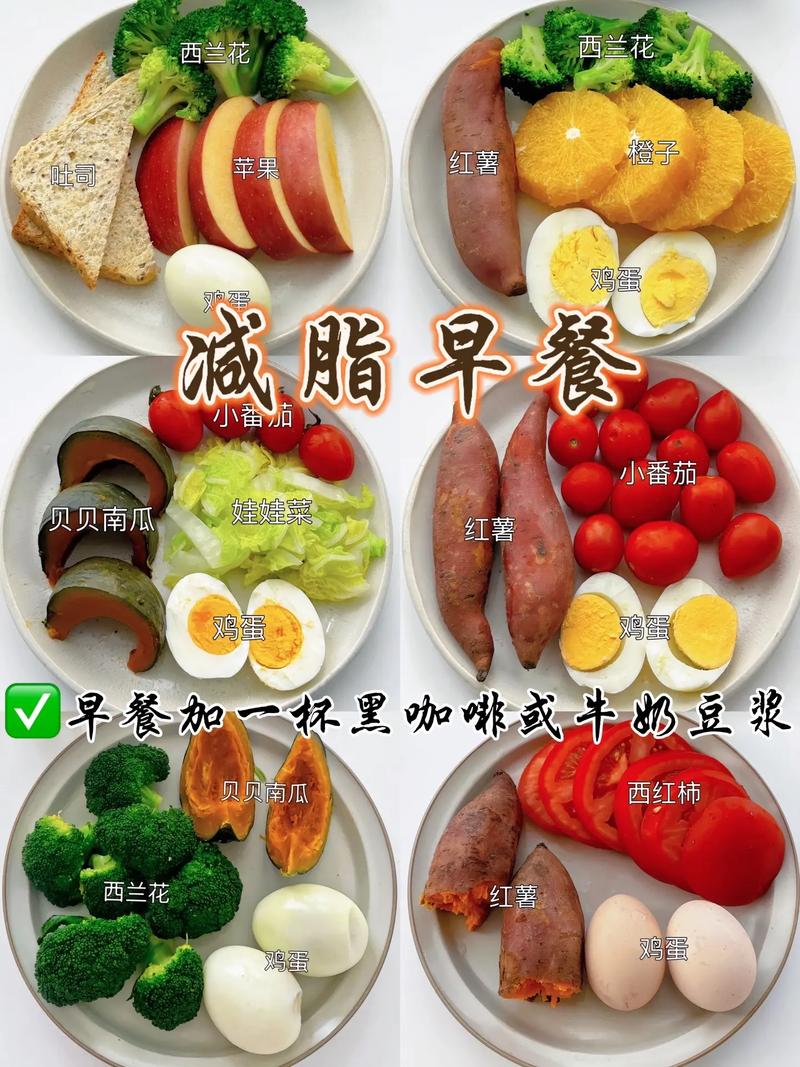 增肌餐盘蛋白质碳水蔬菜搭配