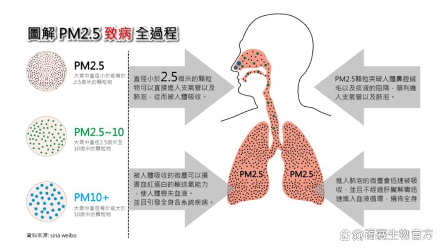 不同年龄人群吸入污染物影响对比示意图