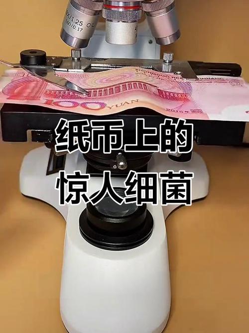 纸币和信用卡在钱包中的细菌分布荧光效果图