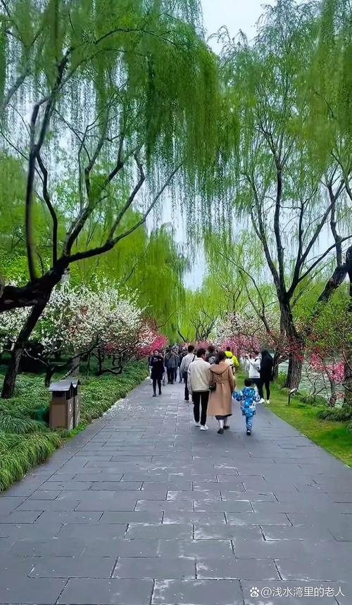 杭州西湖苏堤六桥春日柳色图
