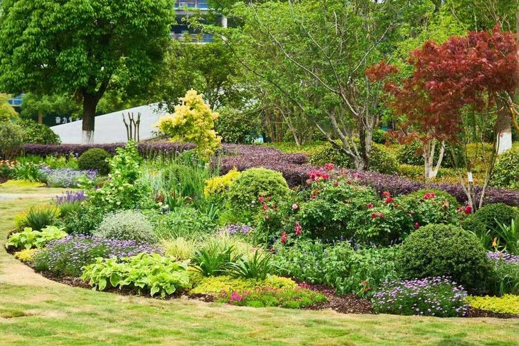 本土植物应用生态设计景观实景