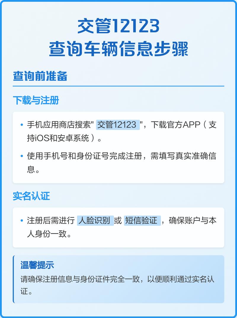 12123APP名下机动车状态查询界面