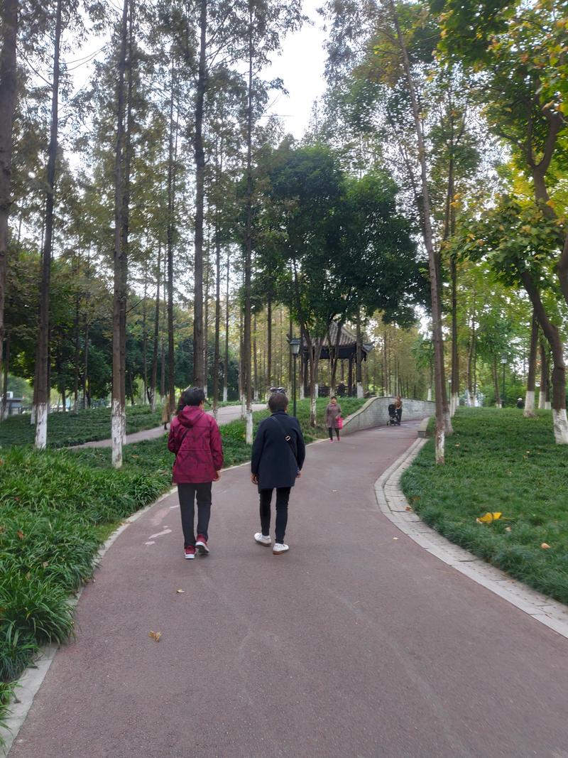 户外公园饭后慢走放松图