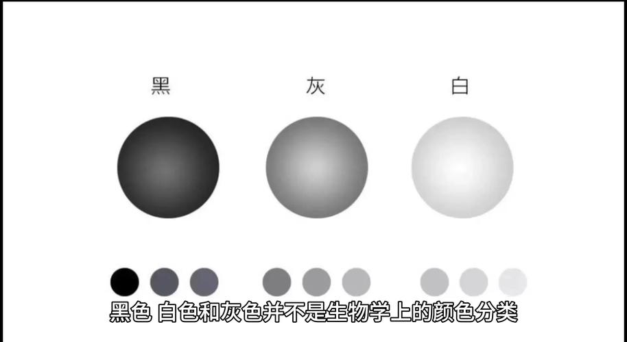 深色基漆与白色基漆调色差异示意图