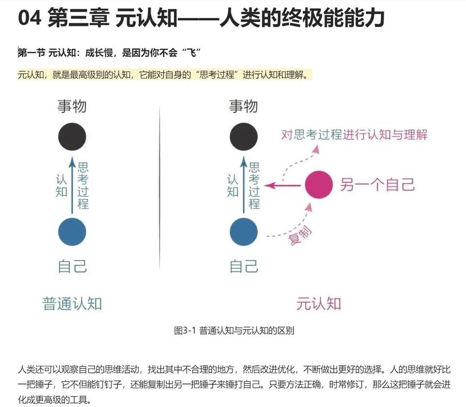 元认知思考与普通思考流程对比图