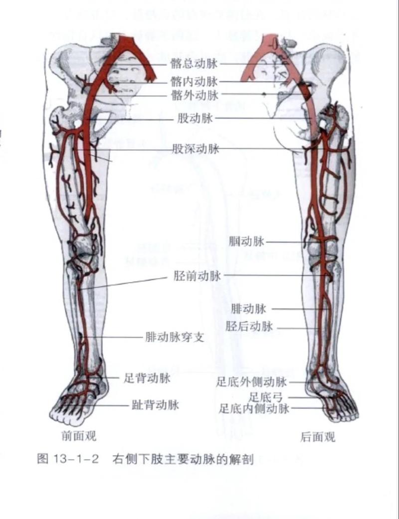 外周血管疾病患者的足部护理：日常养护别踩坑-仁者医