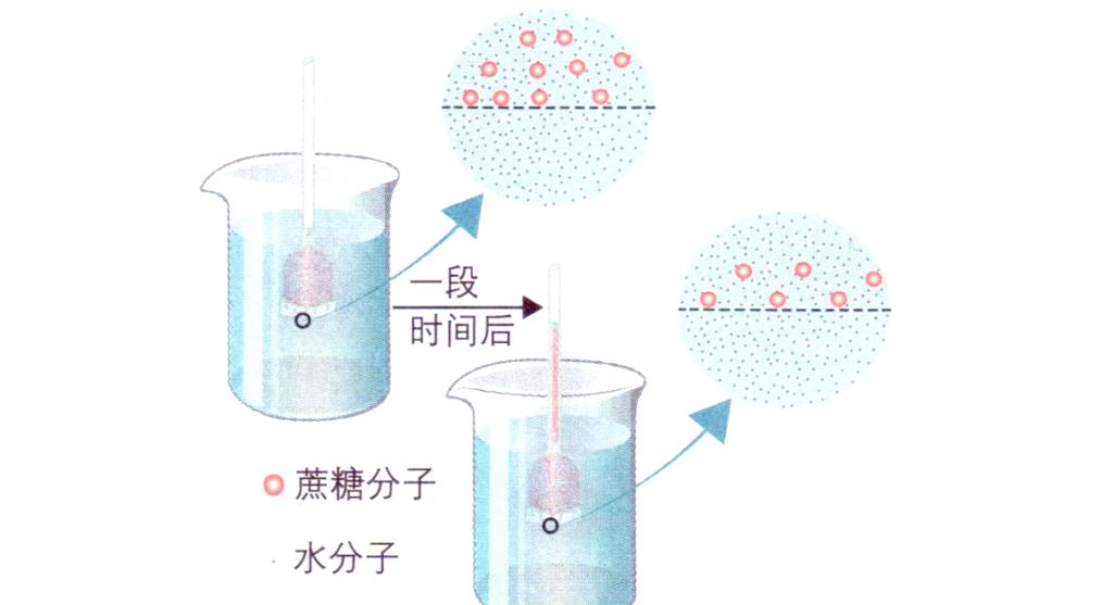 人体细胞补水渗透压原理示意图