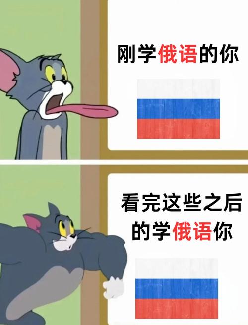 那些年我犯过的蠢，你可别学了