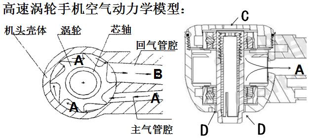 牙科手机气涡轮转子解剖图