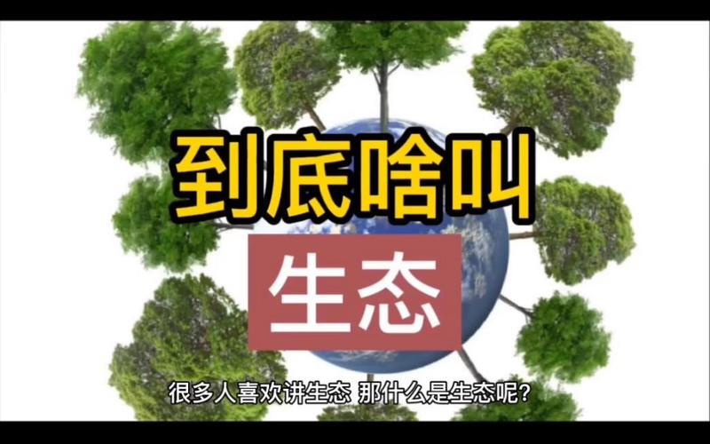 为什么非建不可？因为单打独斗没戏了