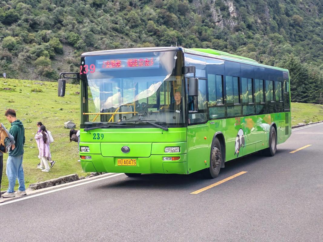 三、草原深处的慢接驳:班车、拼车与搭车