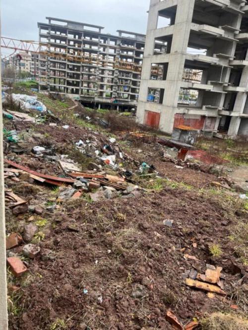 国内烂尾创新园区土地现状图