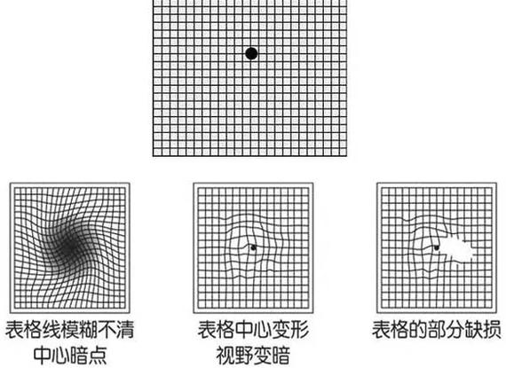 SGE模糊问题与具体问题结果对比图