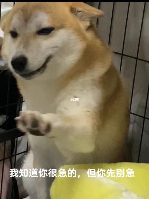 真遇到机器“看走眼”的时候,先别急着骂设备