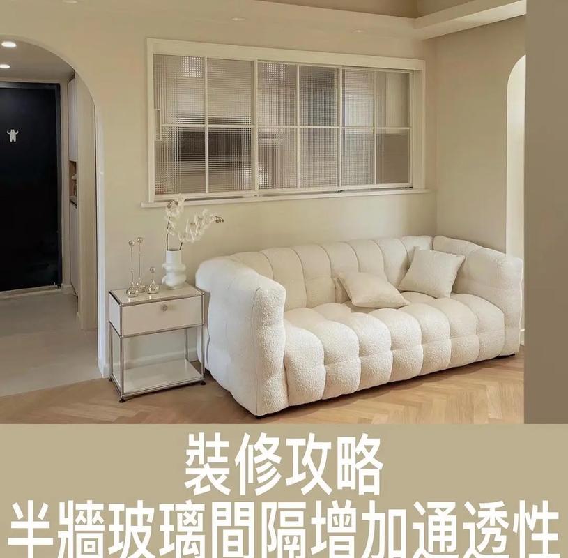 家装客厅半透膜结构隔断实景图