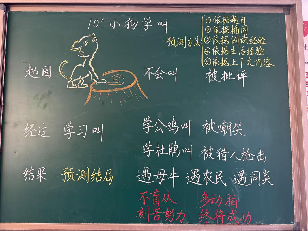 小学课堂教学设计环节板书实拍