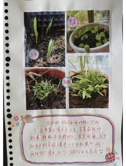 高中研学学生制作植物观察手册场景
