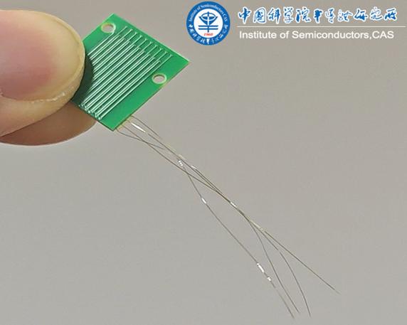 柔性微纳电极显微照片 脑机接口植入示意图