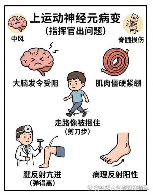 坐久涨肚子？聊聊腹部脂肪容易堆积的进餐节奏调整-仁者医