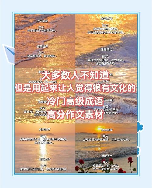 冷门长尾词，才是普通人的流量突破口